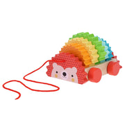 Petit Collage Rainbow Hedgehog Wooden Pull Toy