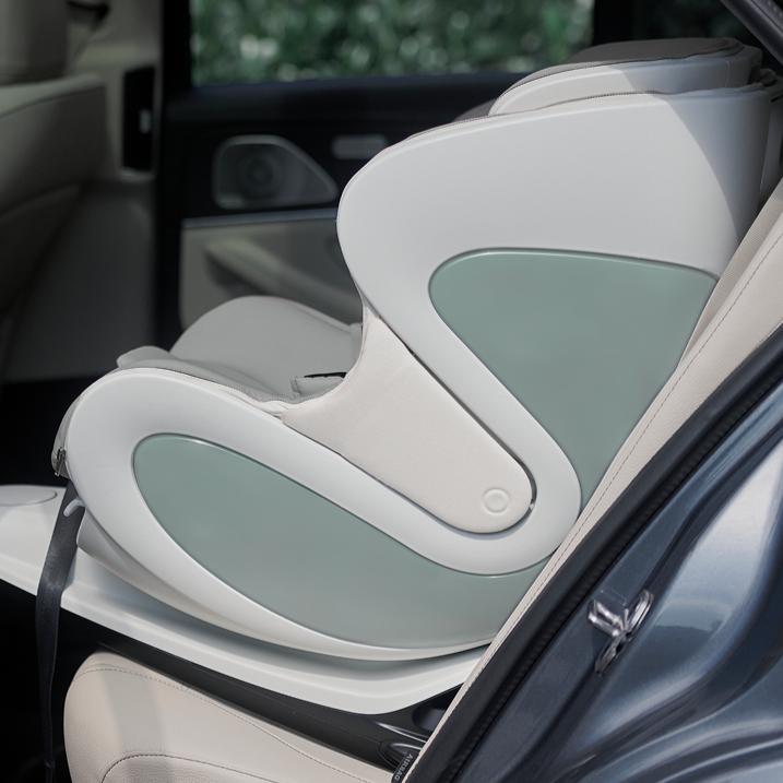 Babyark Smart Convertible Car Seat