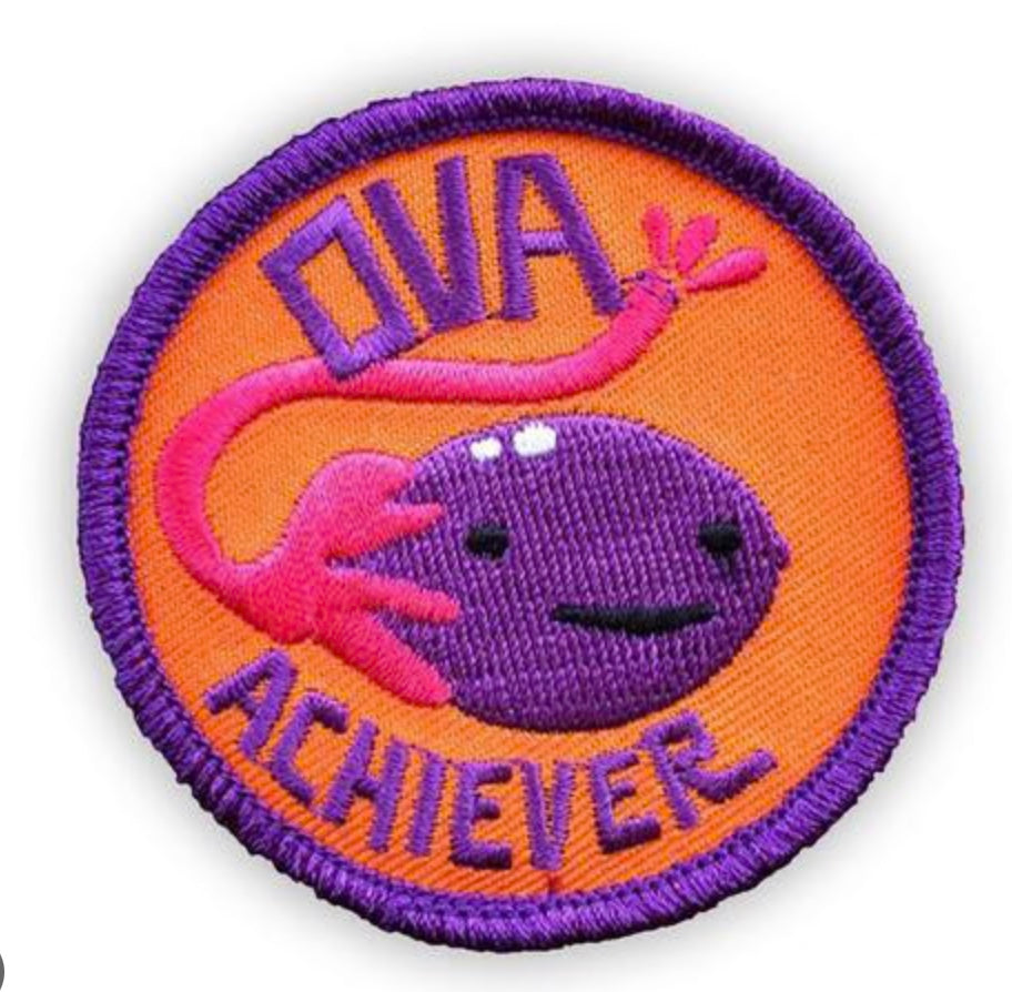 OVA ACHIEVER Patch