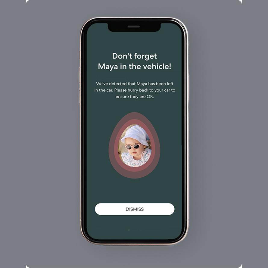 Babyark Smart Convertible Car Seat