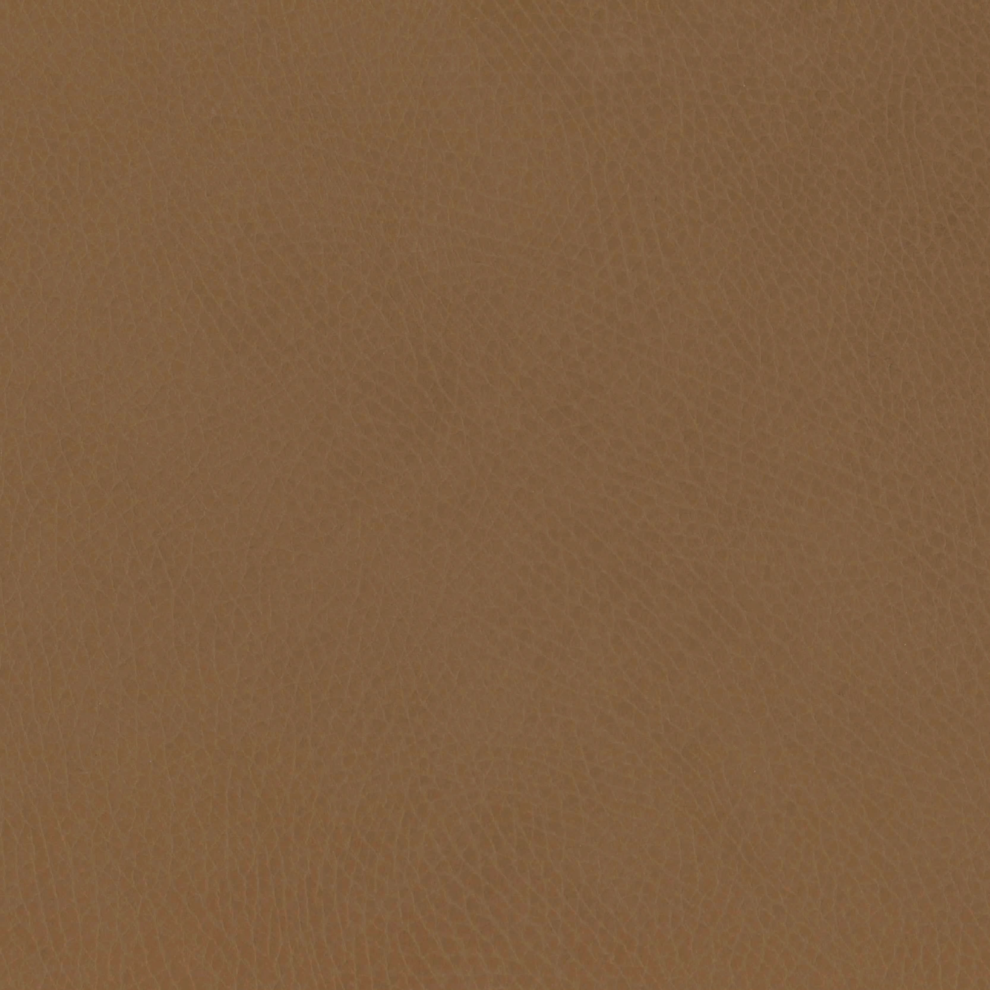 Babyletto babyletto x GATHRE Capsule Bassinet