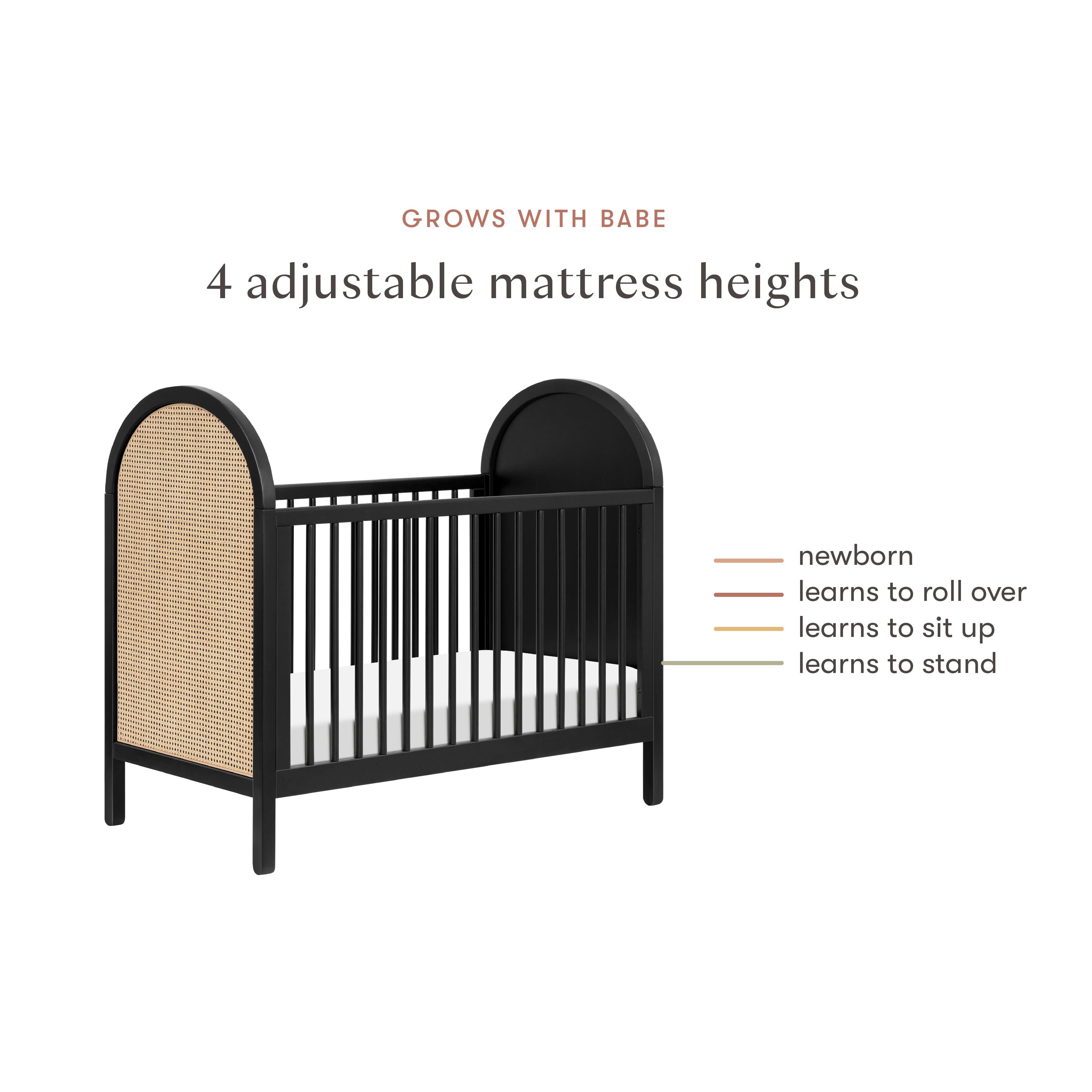 Babyletto Bondi Cane 3-in-1 Convertible Crib with Toddler Bed Conversion Kit