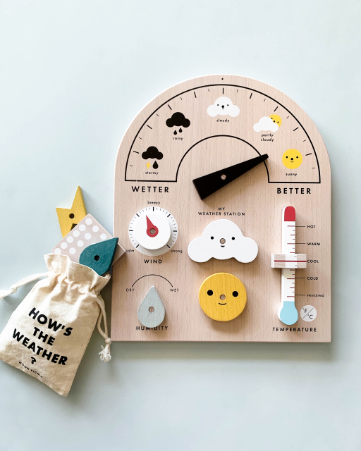 Moon Picnic Weather Station