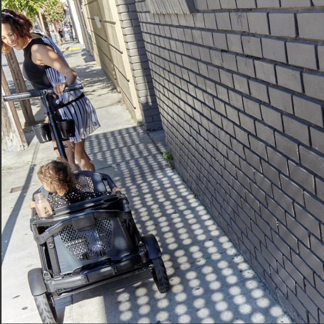 Veer Cruiser All-Terrain Wagon with Infant Essentials