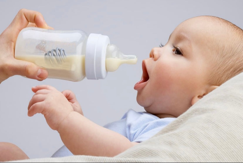 Baby Blends Bottle Whisk
