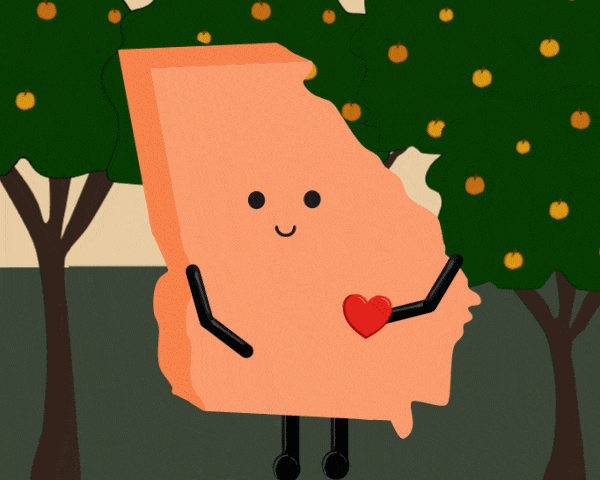 Georgia State Stuffed Plush