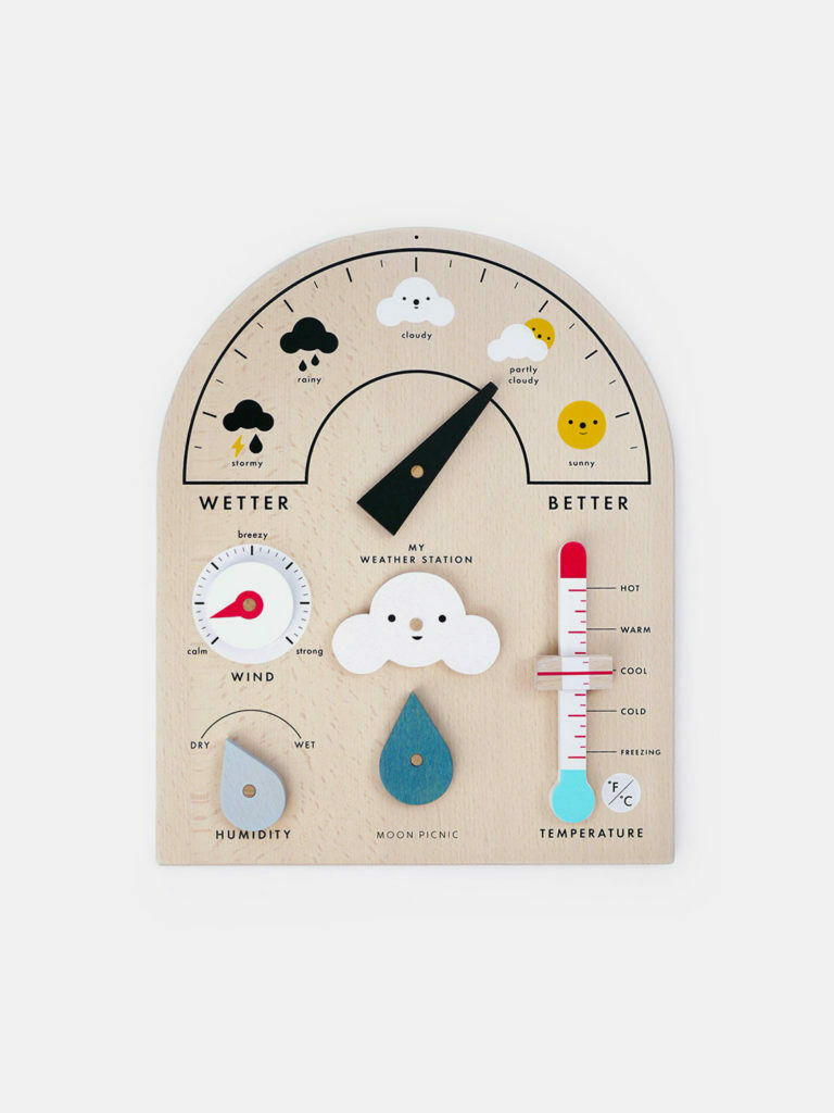 Moon Picnic Weather Station