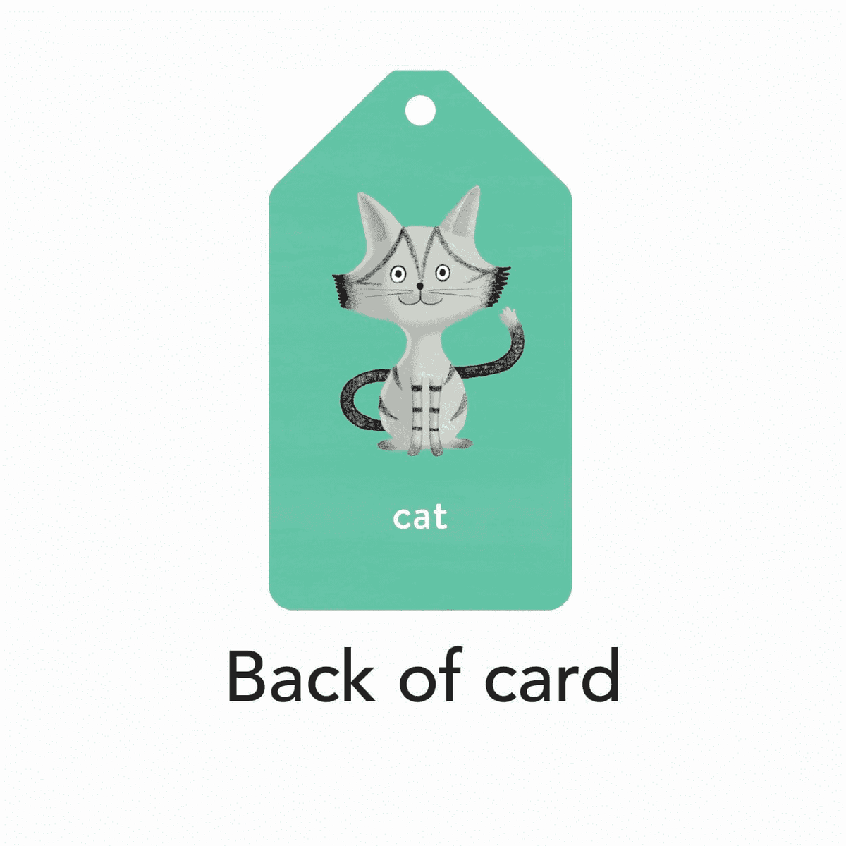 Mudpuppy Spanish to English Ring Flash Cards