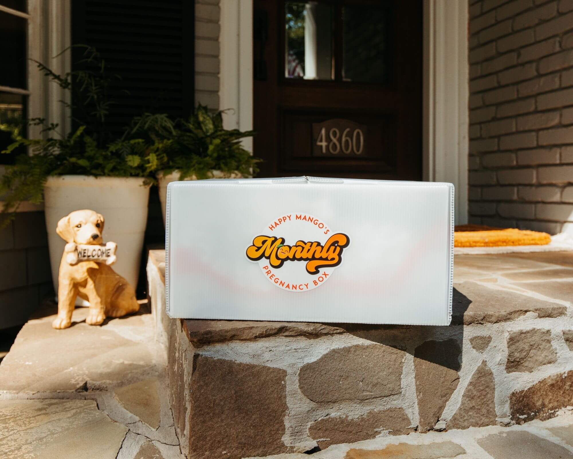 3 Month Pregnancy Subscription box