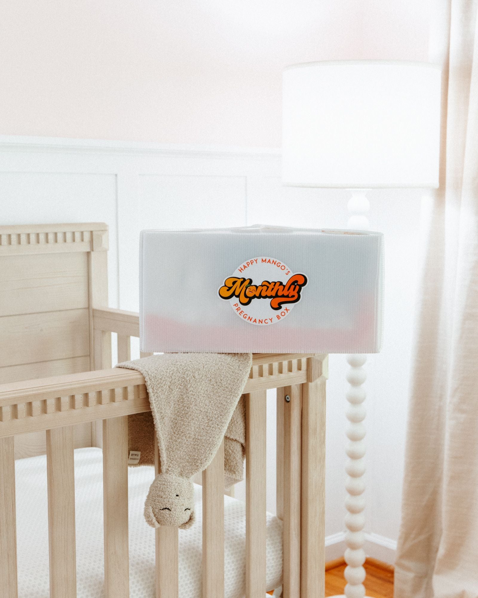 Pregnancy Gift Box Non-Subscription