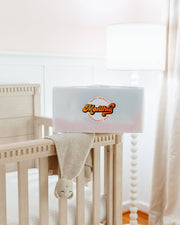 6 Month Pregnancy Subscription box