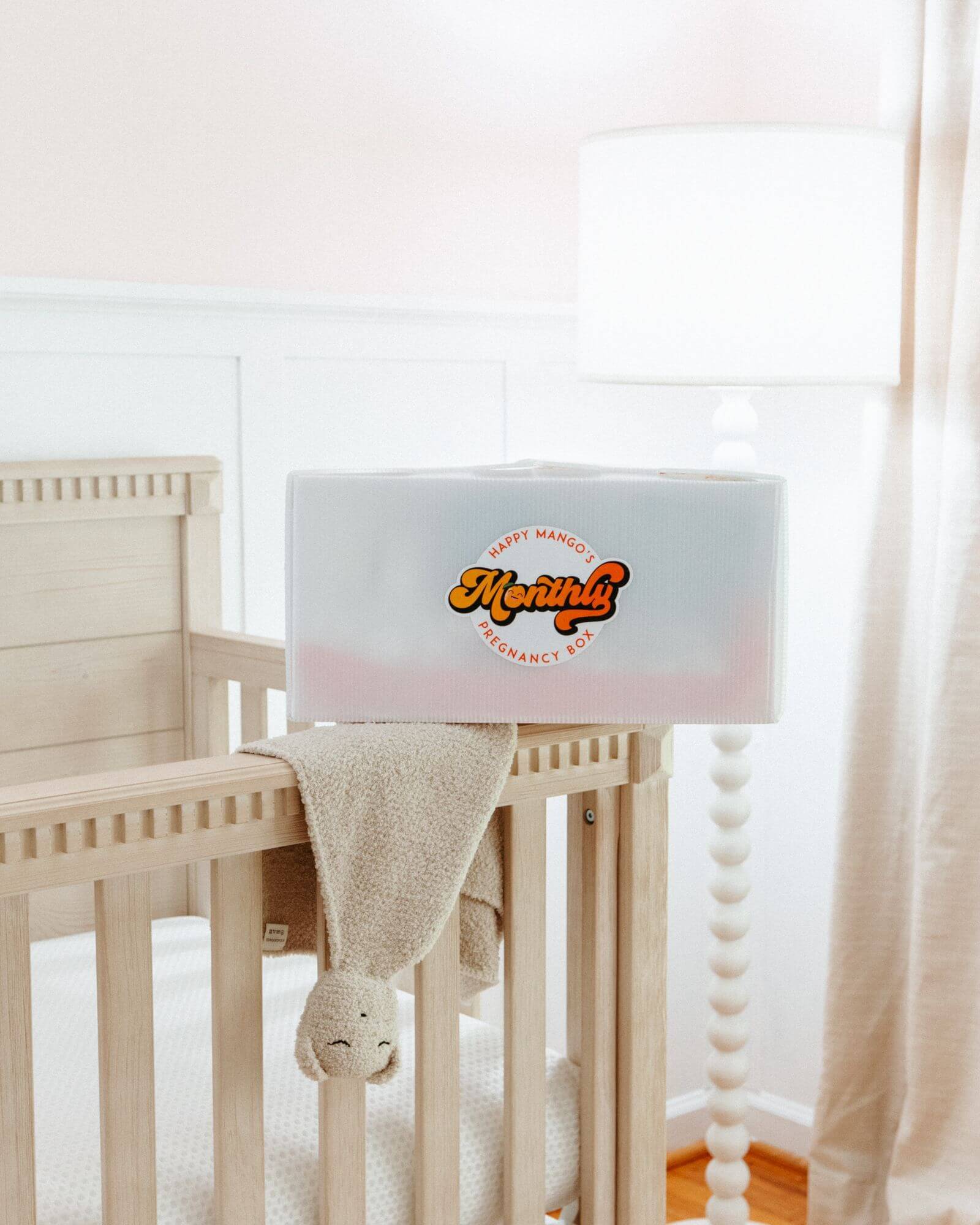 6 Month Pregnancy Subscription box